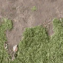 bow_church_dirt_to_grass_side_t