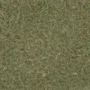 grasstype3