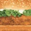 fillet_cb