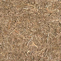 forestfloorbranch256