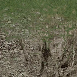 grassbrn2rockbrng2