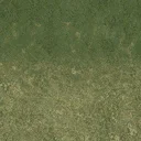 sw_grass01a