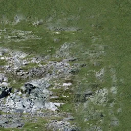sw_rockgrassb2
