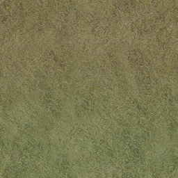desgrassbrn_grn