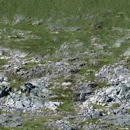 sw_rockgrassb1