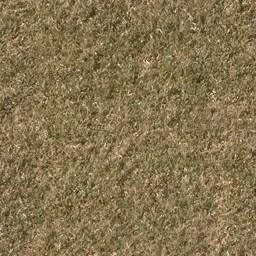 grassdead1