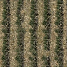 sw_crops