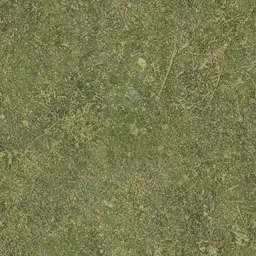 sw_grass01