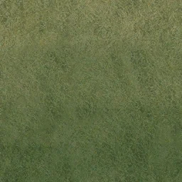desgreengrassmix