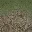 desertgravelgrass256lod