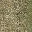sw_grassb01lod