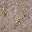 bow_church_dirtlod