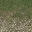 cw2_mountdirt2grasslod