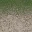 des_dirt2grasslod