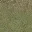 desertgryard256grs2lod
