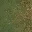forestfloorgrasslod