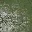 sw_rockgrassb2lod