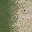 sw_sandgrasslod