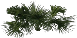kbtree4_test