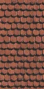 shingles3