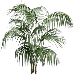 planta256