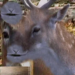 cj_deer1