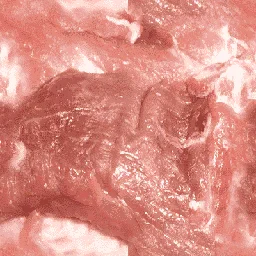 cj_flesh_2
