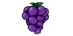 cj_wheel_grape256