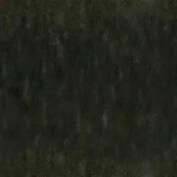 coasty_bit3_sfe