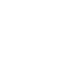 sl_dtcparklines1