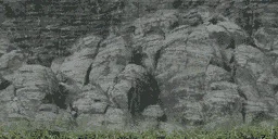 cunt_botrock
