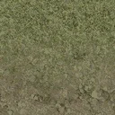 grasstype4_mudblend