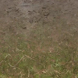 forestfloor256mudblend