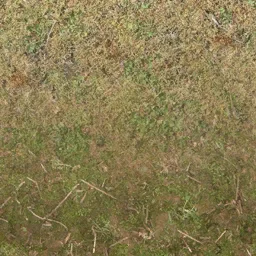 forestfloorblendb
