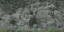 cunt_botrock
