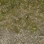 cw2_mountdirt2forest