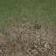 desertgravelgrass256