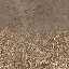 desmud2forstfloor