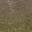 forestfloor256mudblend
