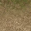 forestfloorblend