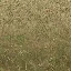 forestfloorblendb