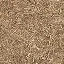 forestfloorbranch256