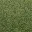 grasstype4_10