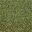 grasstype4_forestblend
