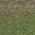 grasstype4blndtomud