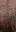 lod_scrpyd_fence_wd_stain