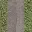pavebsand256grassblended_lod