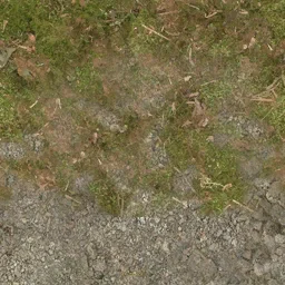 cw2_mountdirt2forest