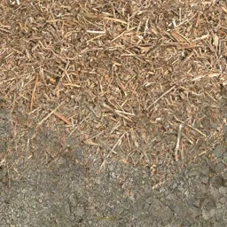 ffbranch_mountdirt