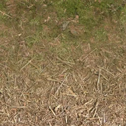 forestfloorblend